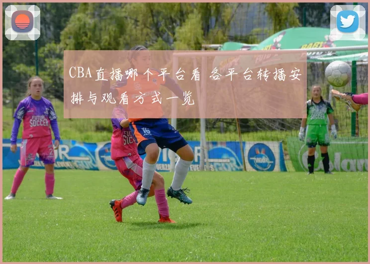 CBA直播哪个平台看 各平台转播安排与观看方式一览