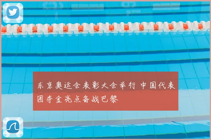 东京奥运会表彰大会举行 中国代表团夺金亮点备战巴黎