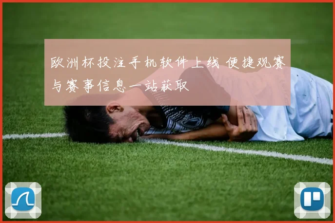 欧洲杯投注手机软件上线 便捷观赛与赛事信息一站获取