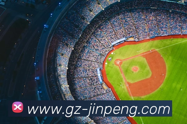 bsports官网登录入口发展历程